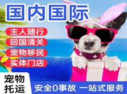 黑河航空快运国际宠物托运 【国